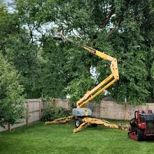 Best Tree Preservation Services  in Fort Oglethorpe, GA